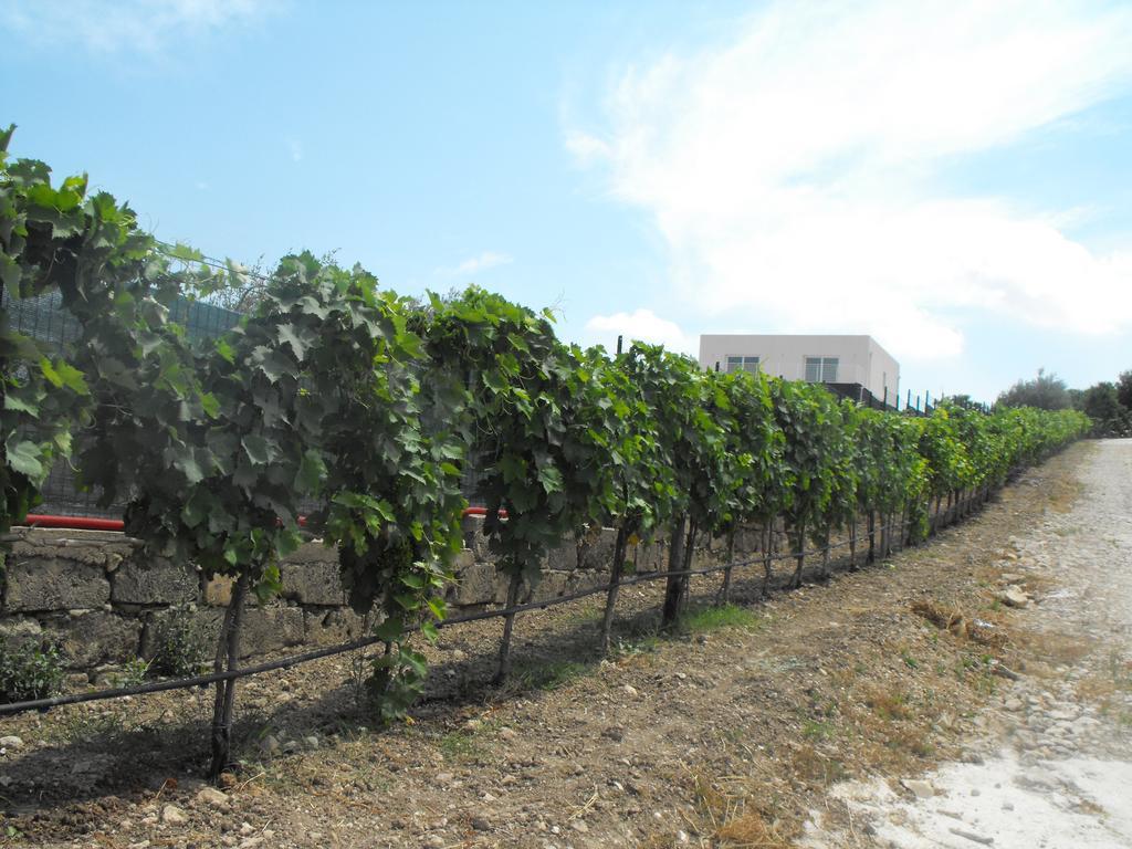 Agriturismoeloropizzuta Apartment Lido di Noto